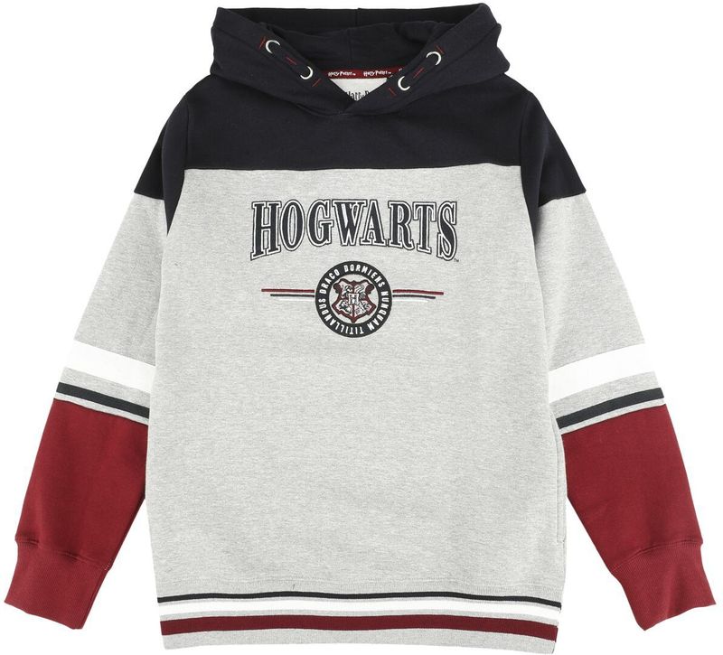 Harry Potter Trui met capuchon - Kids - Hogwarts - England Made - 128 tot 164 - voor meisjes en jongens - meerkleurig