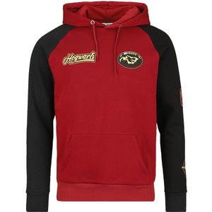 Harry Potter Trui met capuchon - Gryffindor - M tot XXL - voor Mannen - meerkleurig