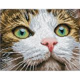 Diamond Dotz Green Eyed Beauty Diamond Painting 11.904 Dotz