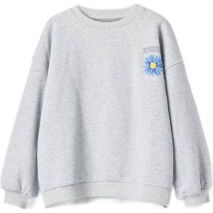 Desigual sweater met backprint lichtgrijs/blauw