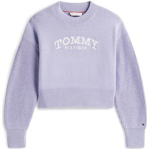Tommy Hilfiger sweater lila