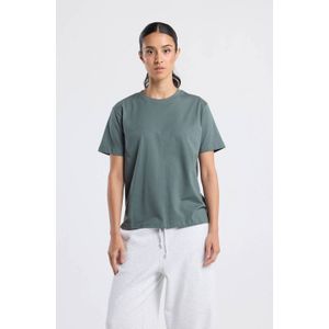 America Today T-shirt grijsgroen