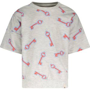 The New Chapter T-shirt Lux met all over print grijs/lichtblauw