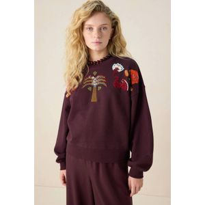 Sissy-Boy sweater donkerbruin met pailletten