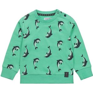 Dirkje sweater Sweater ls met all over print groen