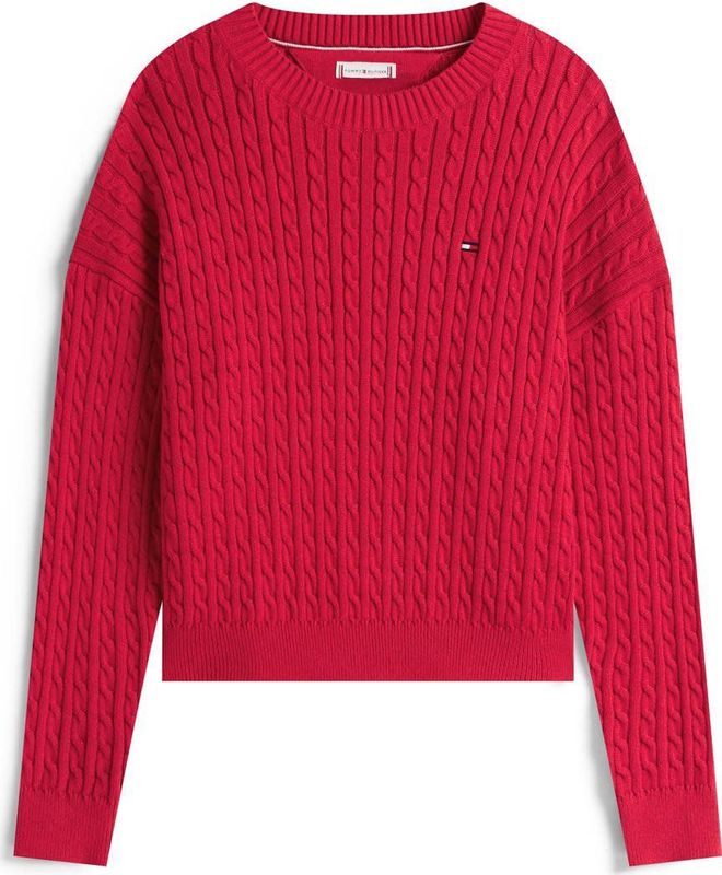 TOMMY HILFIGER Trui  rood