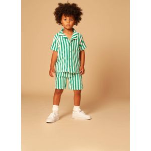 Stains&Stories overhemd groen