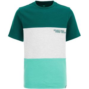 WE Fashion T-shirt groen/wit