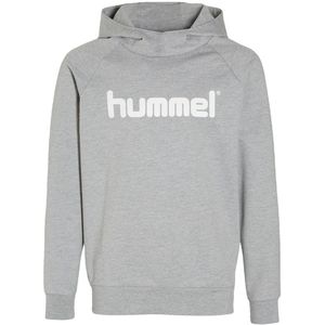 hummel Junior voetbalhoodie grijs