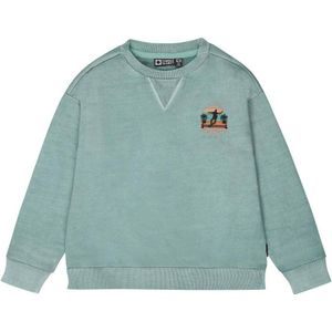 Tumble 'n Dry sweater Lakeport met printopdruk mint groen