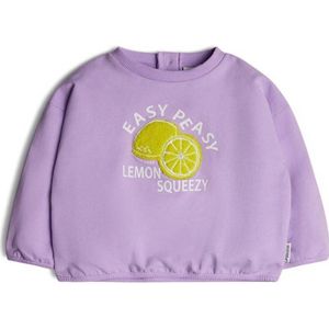 Retour Mini sweater Vicky met printopdruk lila/geel