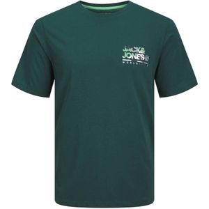 JACK & JONES PLUS SIZE regular fit T-shirt JJLUKE Plus Size met printopdruk groen