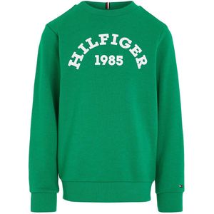 Tommy Hilfiger sweater met logo groen