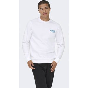 Only & Sons - ONSCERES SKI - Sweatshirt - Cyaan Blauw / Wit