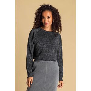 Ivy Beau pullover grijs met glitter