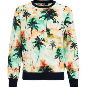 WE Fashion sweater met all over print multi