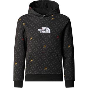 The North Face hoodie Peak LIght zwartgrijs