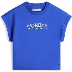 Tommy Hilfiger T-shirt blauw