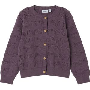 NAME IT MINI vest NMFPDESOLLE aubergine