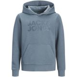 JACK & JONES JUNIOR hoodie grijsblauw