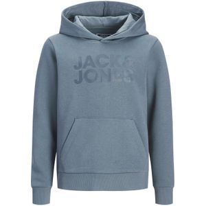 JACK & JONES JUNIOR hoodie grijsblauw