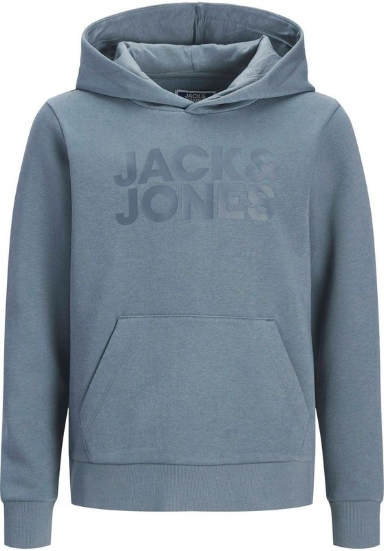 JACK & JONES JUNIOR hoodie grijsblauw
