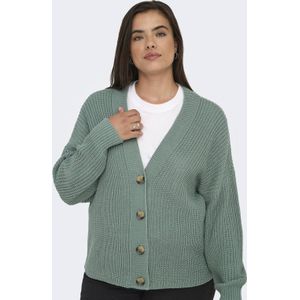 ONLY CARMAKOMA - Vest - V-Hals - Lange Mouwen - Regular Fit