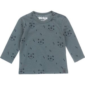 Dirkje baby longsleeve met biologisch katoen grijsgroen/donkerblauw