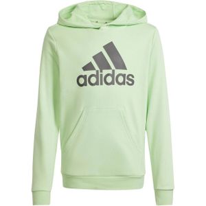 adidas Sportswear French terry hoodie lichtgroen/grijs