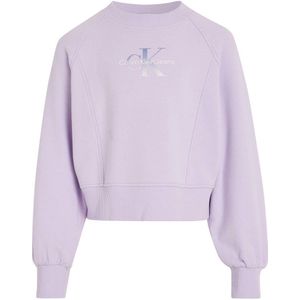 Calvin Klein sweater met logo lila