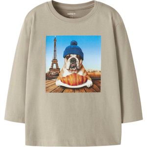 Dinosaurus - Top - Lange Mouwen - Jersey