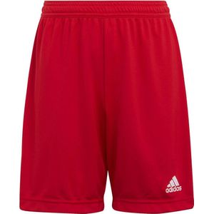 adidas Performance Junior sportshort rood