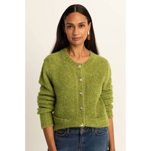 Expresso gebreid vest olijfgroen met lurex