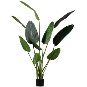WOOOD Strelitzia Kunstplant - Groen - 96x164x63