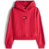 Tommy Hilfiger - RHINE STONE FLAG HOODIE - Ruby Rabarber - Hoodie