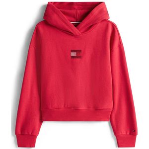 Tommy Hilfiger - RHINE STONE FLAG HOODIE - Ruby Rabarber - Hoodie