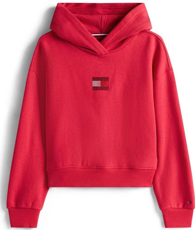 Tommy Hilfiger - RHINE STONE FLAG HOODIE - Ruby Rabarber - Hoodie