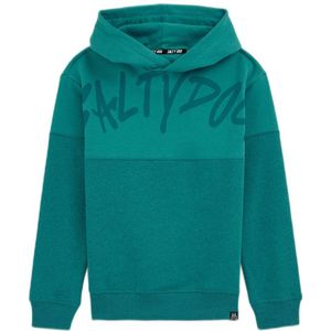 Salty Dog sweater met tekst petrol groen