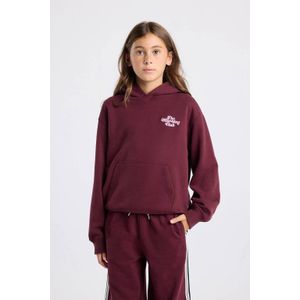 America Today hoodie met backprint donkerpaars