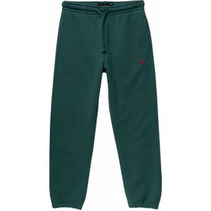 REPLAY joggingbroek groen