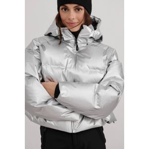 Aim'n ski-jas Cortina Glossy zilver