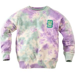 Z8 sweater Vito lila/groen