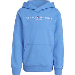 Tommy Hilfiger hoodie lichtblauw