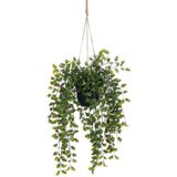 Mica Decorations Ficus Kunst Hangplant in Pot - H46 x Ø20 cm - Groen