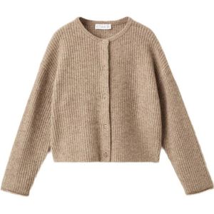 MANGO KIDS - Gebreid Vest - Bruin - Normale Pasvorm