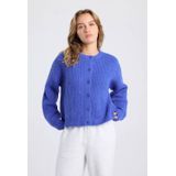 America Today gebreid vest grijs