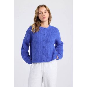 America Today gebreid vest grijs