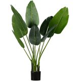 WOOOD Strelitzia Kunstplant - Groen - 61x108x50