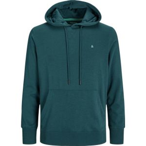 JACK & JONES ESSENTIALS hoodie groen