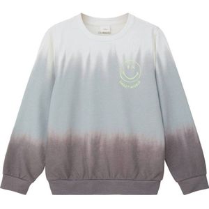 s.Oliver sweater met backprint grijs/grijsblauw/wit